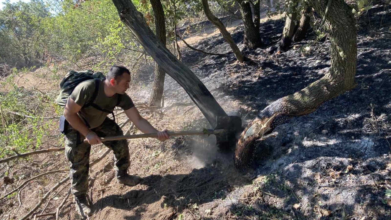Военнослужещи от Сухопътните войски и днес помагат за потушаване на пожара край хасковското село Брягово