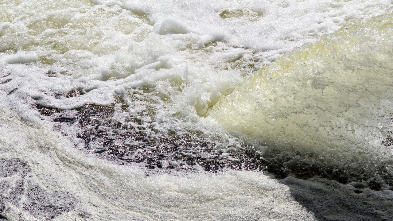 В пробите от водата на река Одер не е открит живак, заяви полската министърка на околната среда