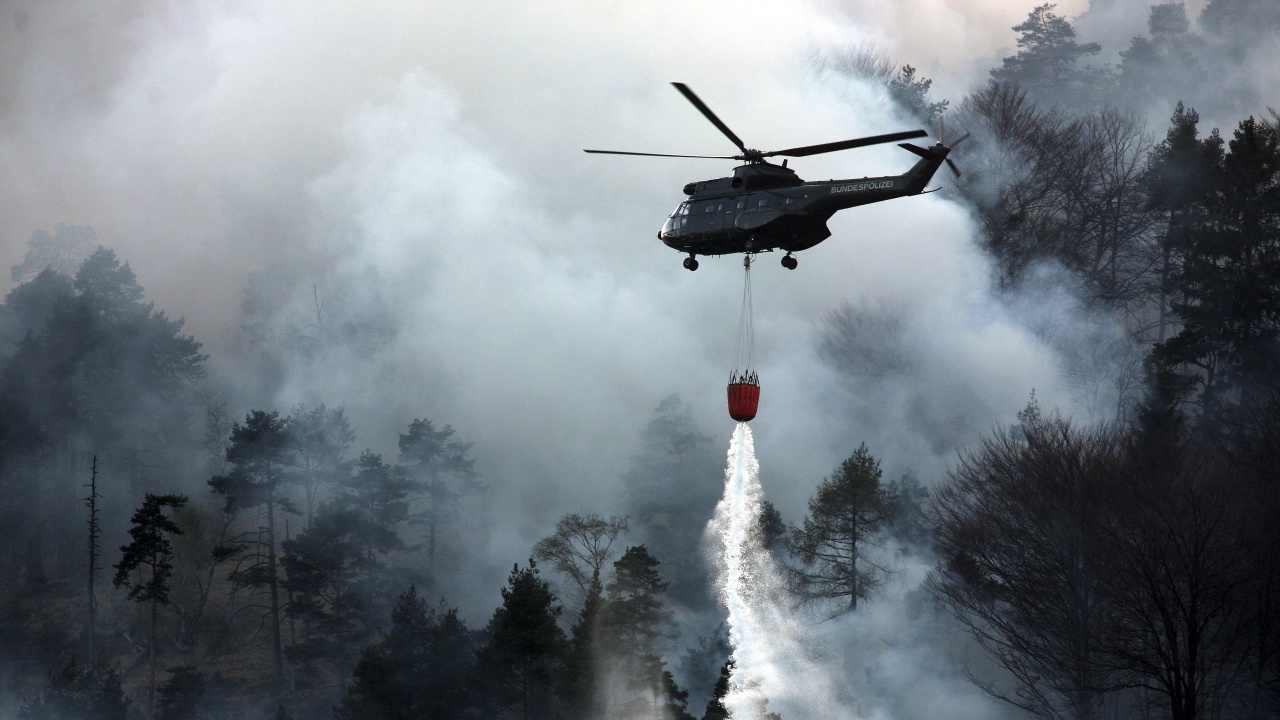 Потушиха горски пожар в германски национален парк