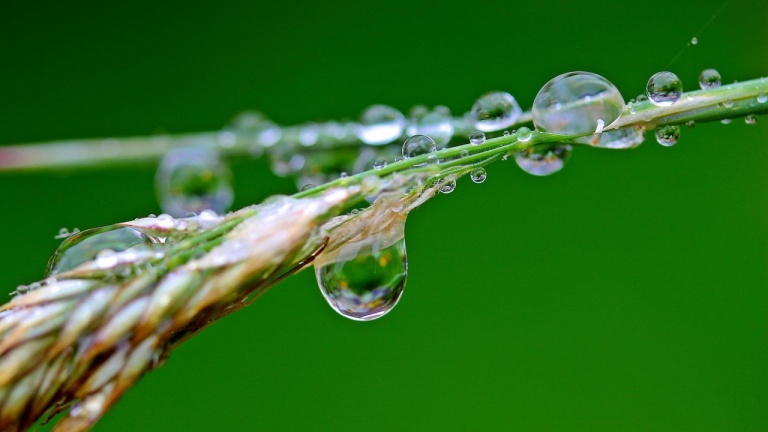 Дъждовната вода навсякъде на планетата е неподходяща за пиене, установи изследване