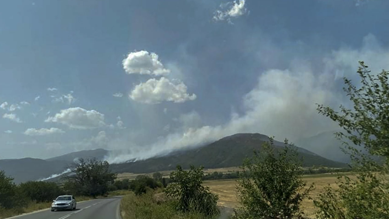 Хиляди декари гора изгоряха в Елшица край Пазарджик След тридневна