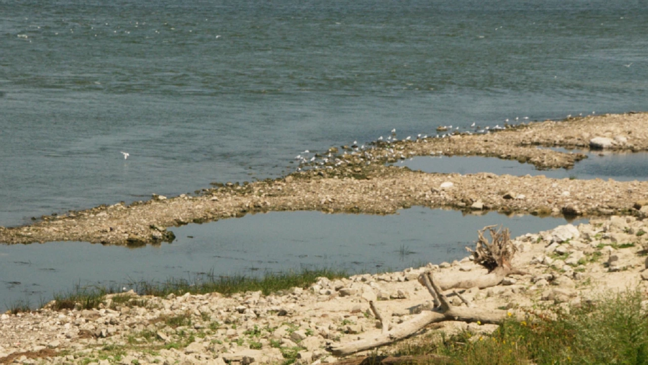 Критично ниски продължават да са нивата на река Дунав в