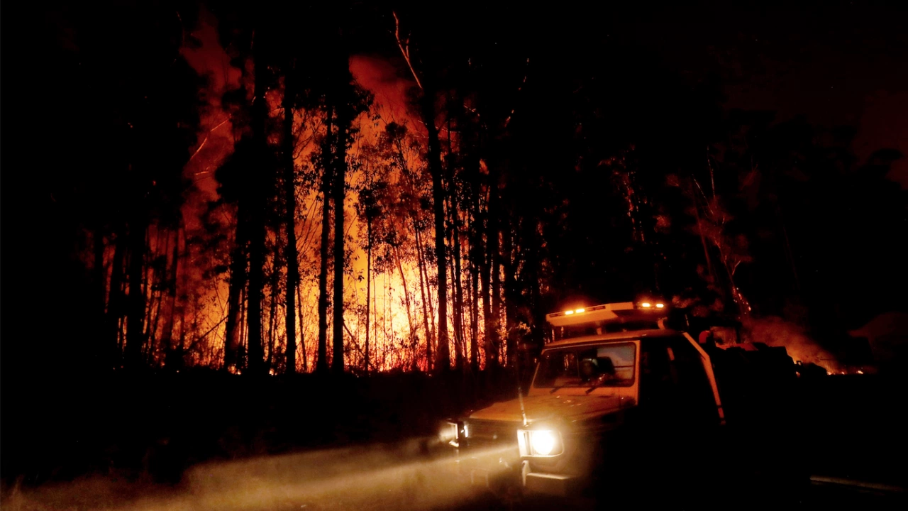 Два големи горски пожара се разразиха днес в окръг Маниса