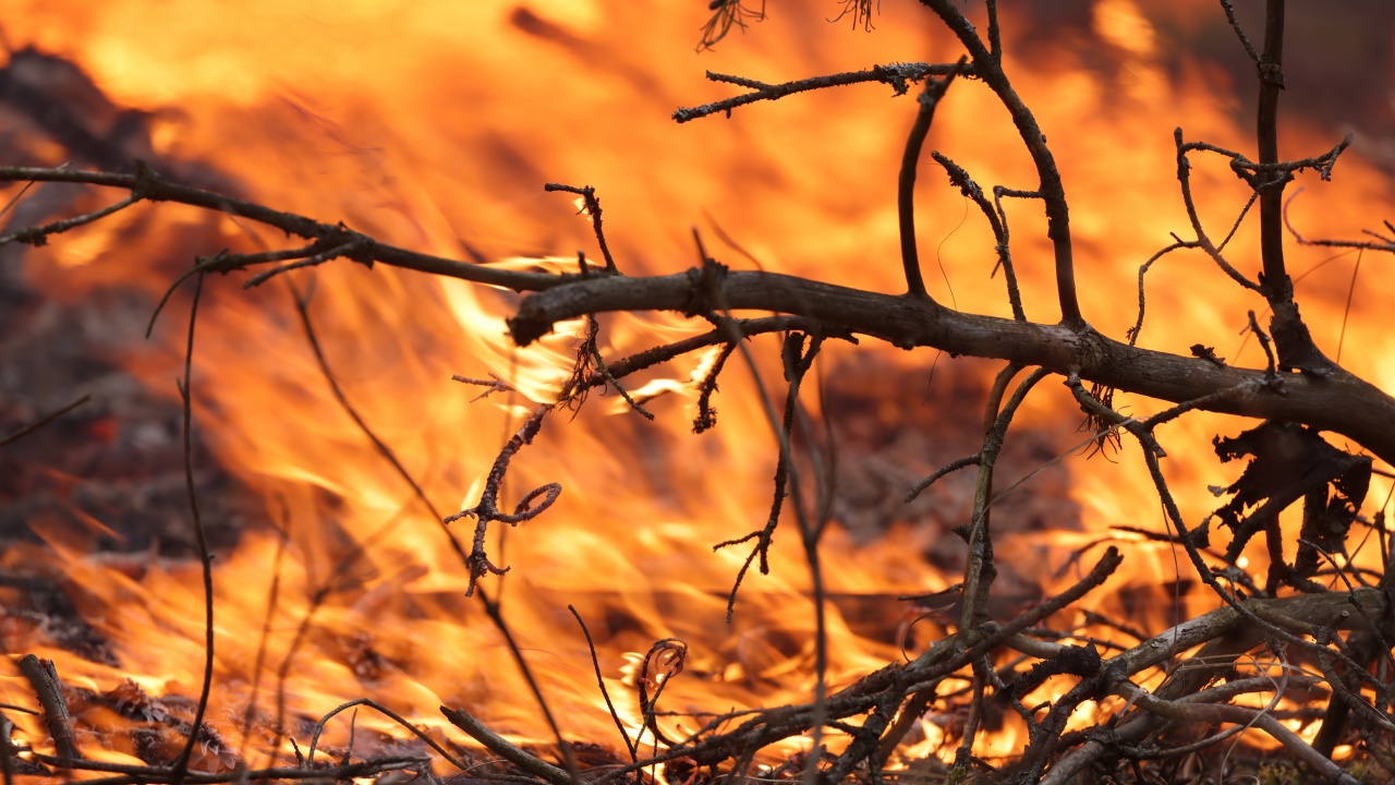 Разраства се огнището на пожара в землището между селата Васково