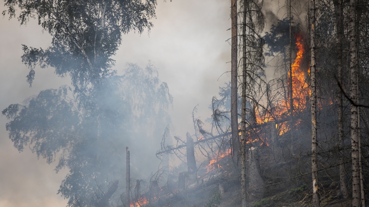 Пожар бушува край хърватския град Шибеник