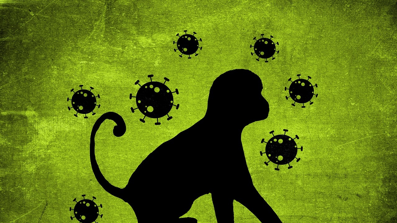 Скок на случаите на маймунска шарка в Европа
