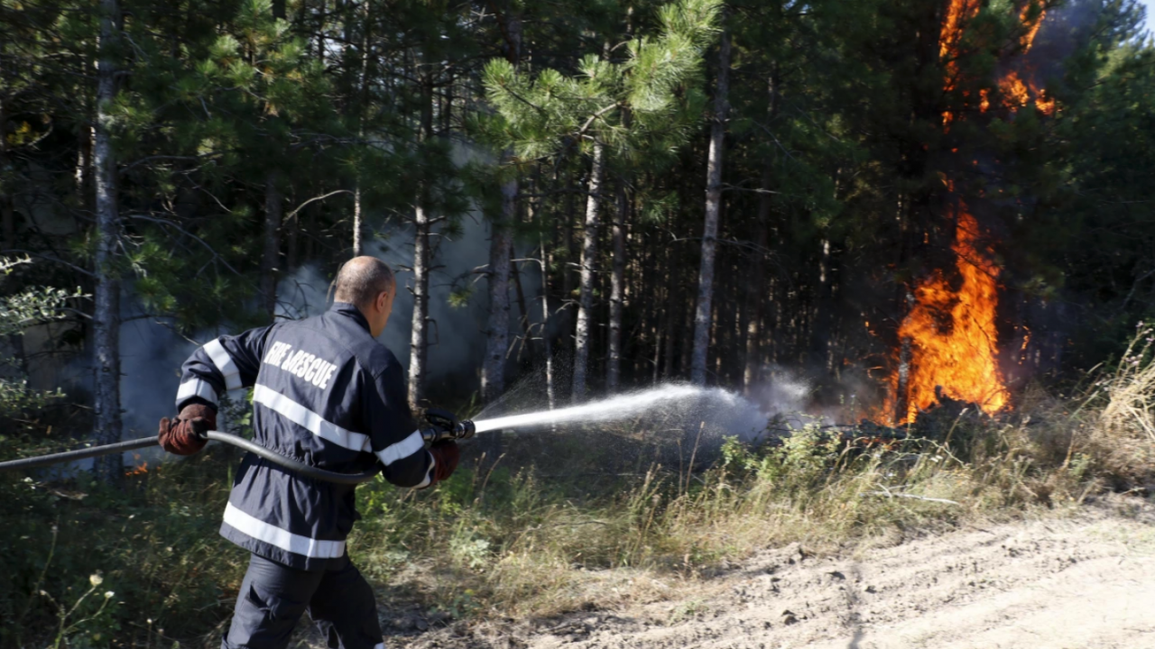 Локализиран е пожарът до военния полигон край Казанлък