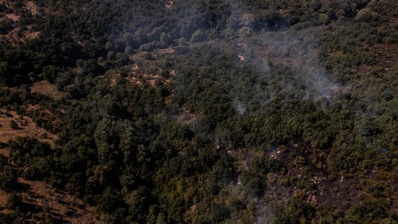 Локализиран е днешният пожар в Сакар планина