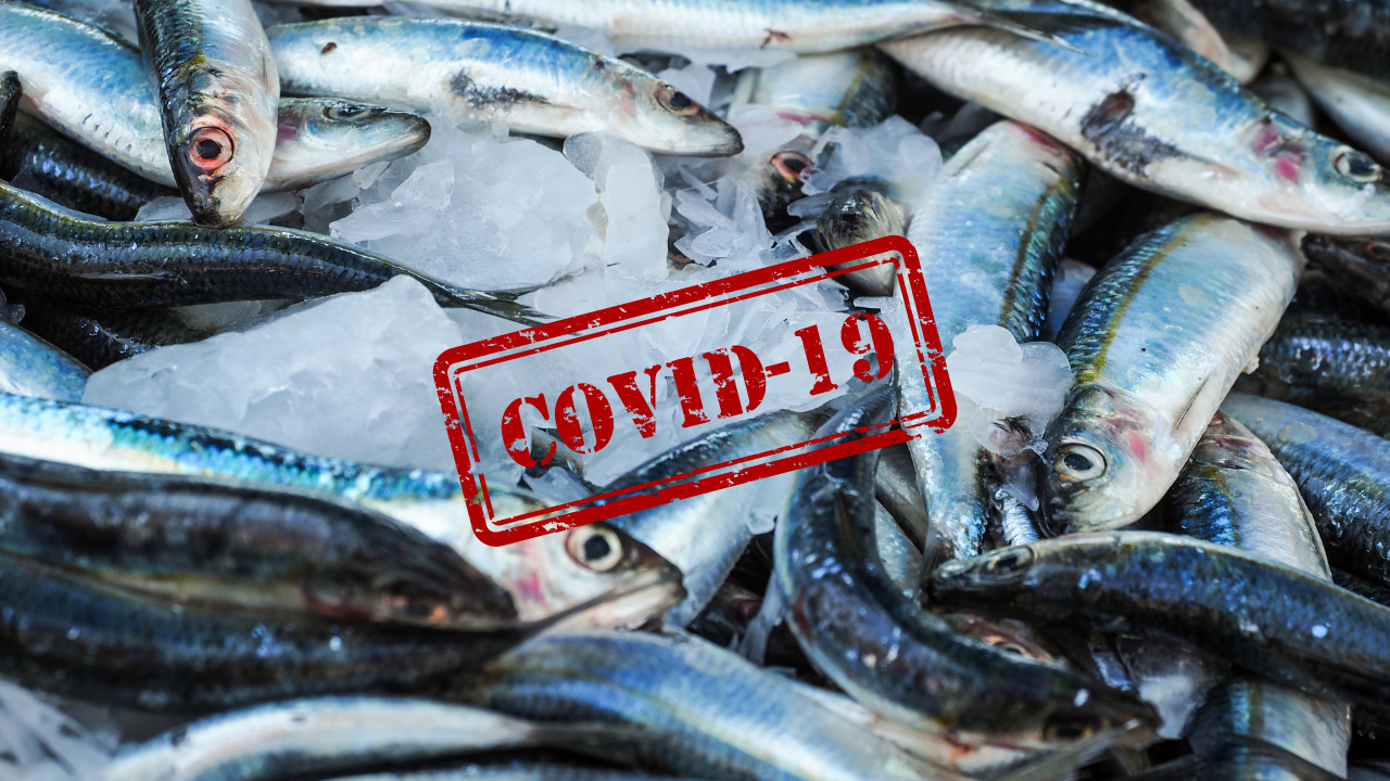 Китай започна тестване на риби за COVID