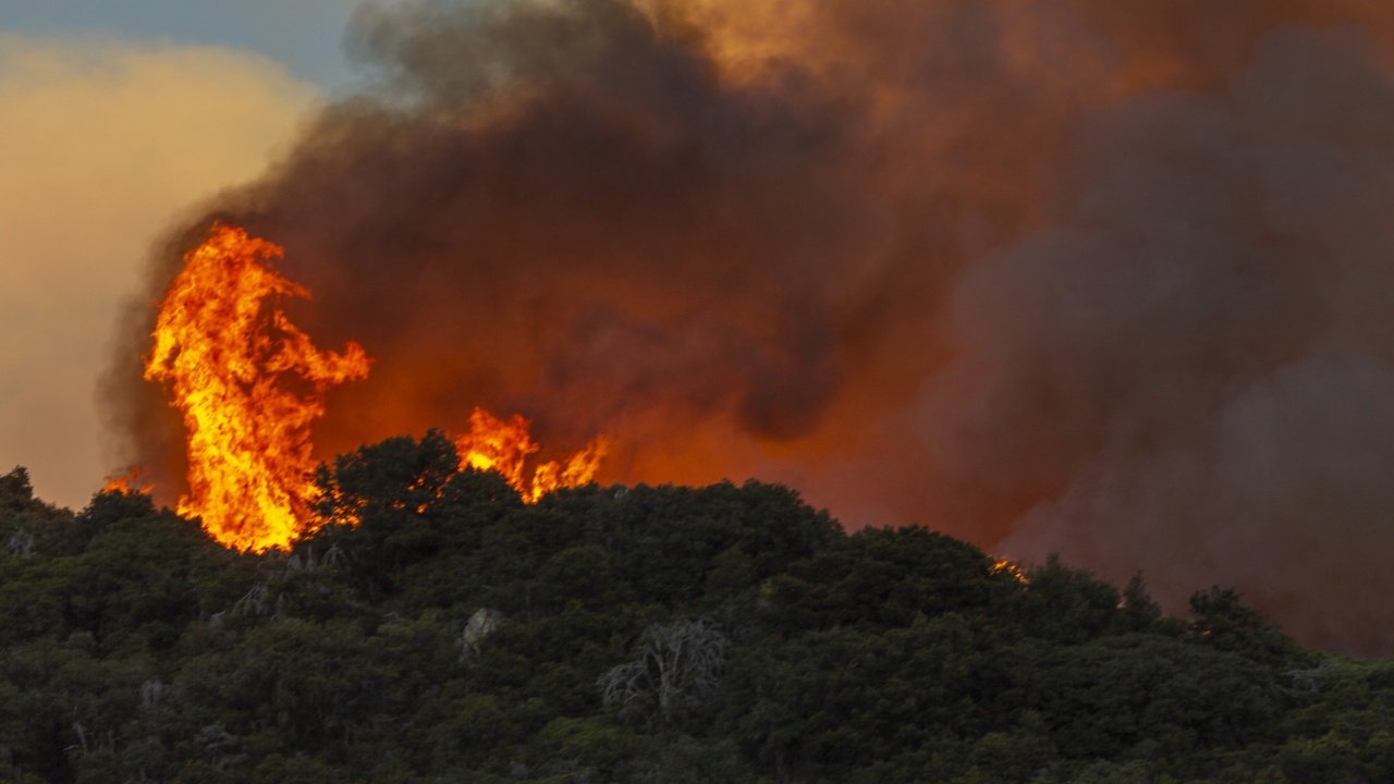 Пожар в птицекомбинат във Врачанско обхвана земеделска земя