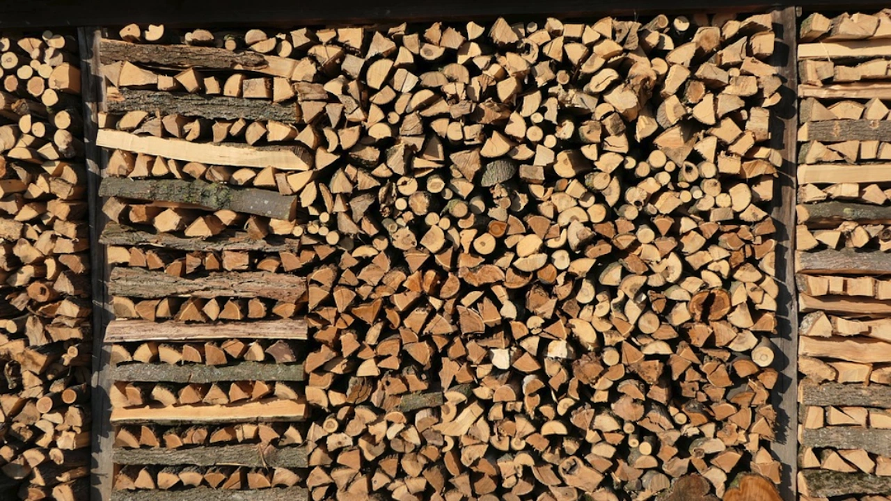 Министерство на земеделието забранява износа на дървесина към трети страни