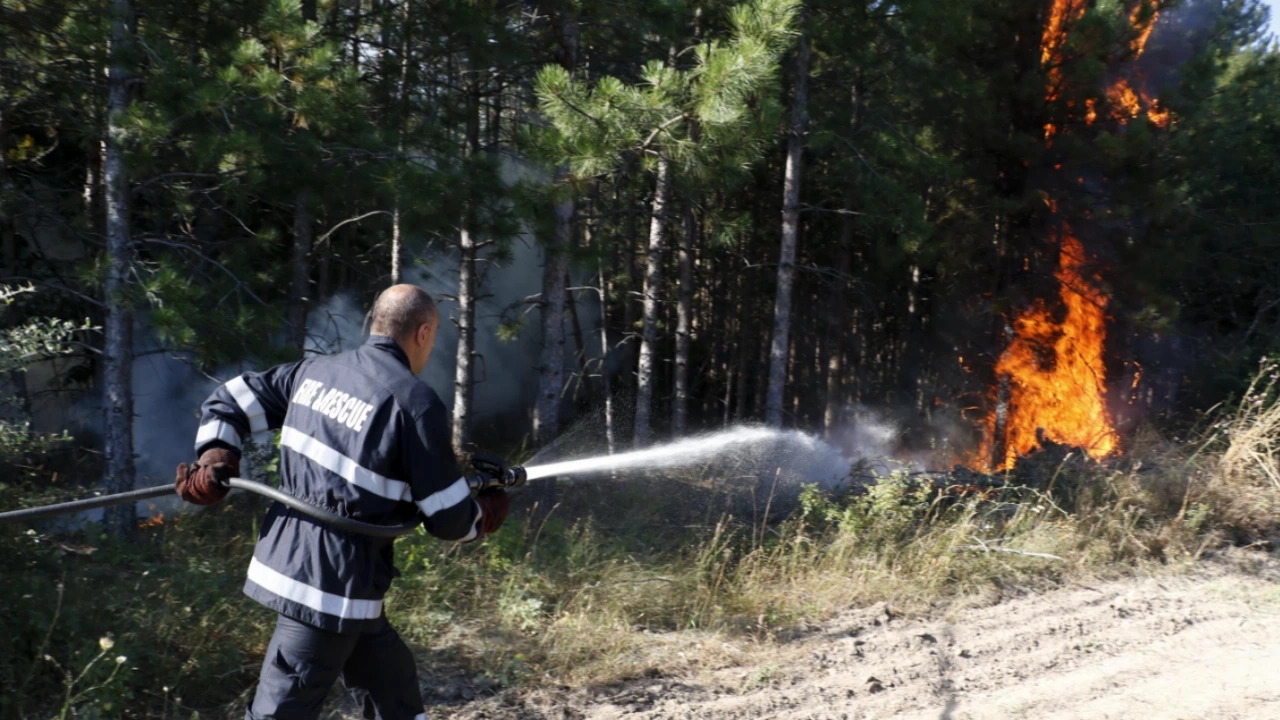 Локализиран е пожарът пламнал вчера в района на полигон Тюлбето