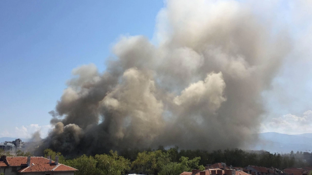 Пожарът край Казанлък прехвърли Подбалканския път и достигна в близост
