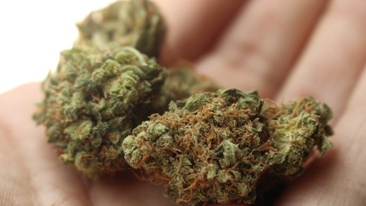 Варненският съд наложи условна присъда на младеж за шофиране след употреба на марихуана