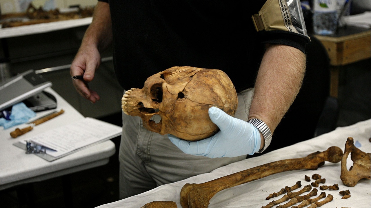 Бедрена кост на 7 милиона години, открита преди 20 години