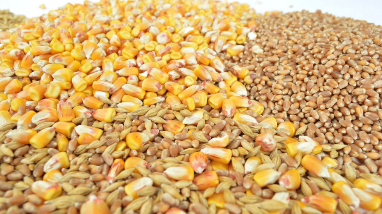 Близо 800 хиляди тона зърно от Украйна са доставени досега