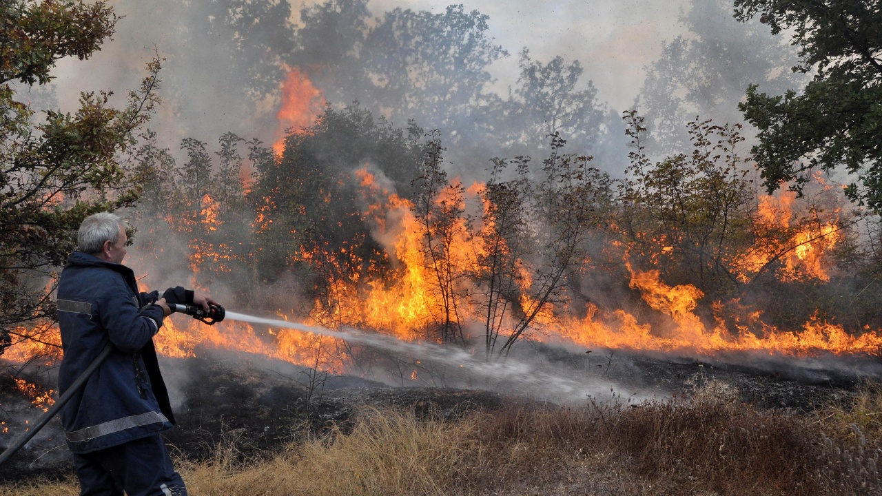 Близо 3 хиляди декара горят в Свиленградско