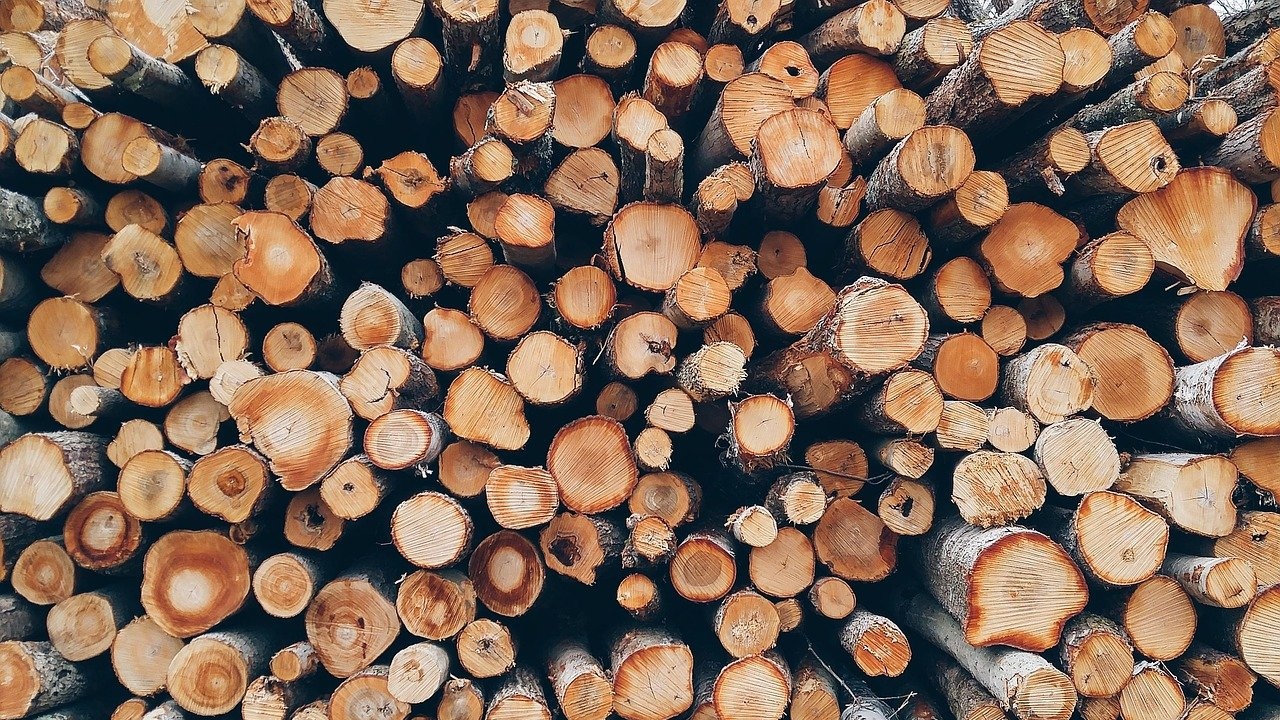 Масови акции за незаконни дърва за огрев се провеждат в цялата страна