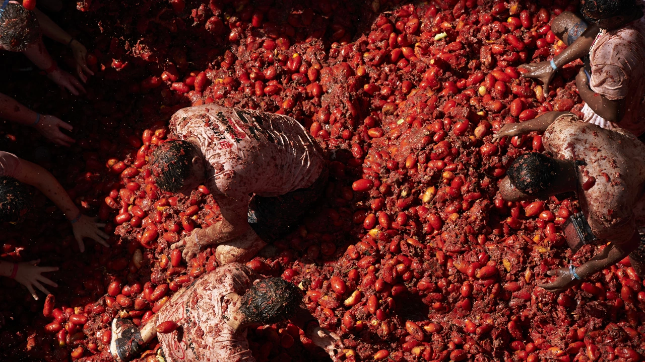 Хора от цял свят се замеряха с домати когато известната