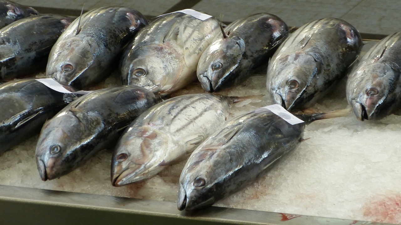 БАБХ с проверка за продажба на риба от наводнените села по Стряма