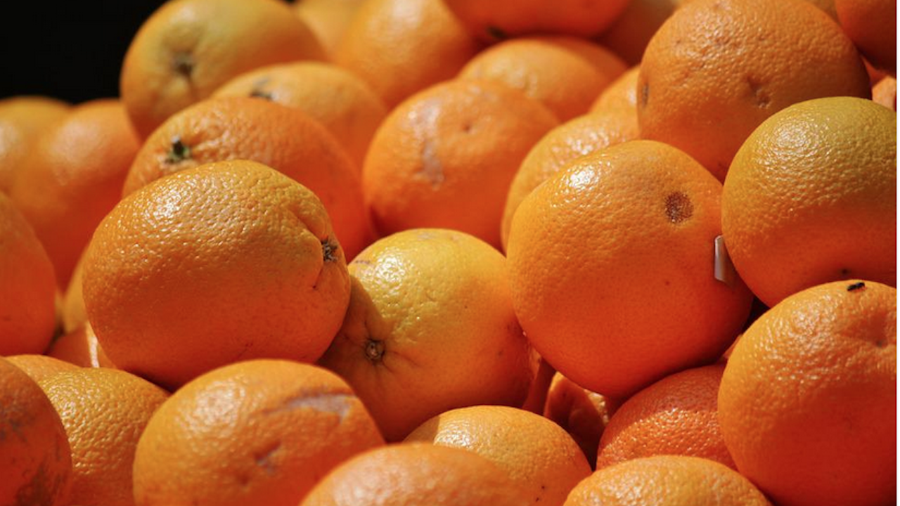 Южна Африка спира износа на портокали за ЕС заради гъбични заболявания