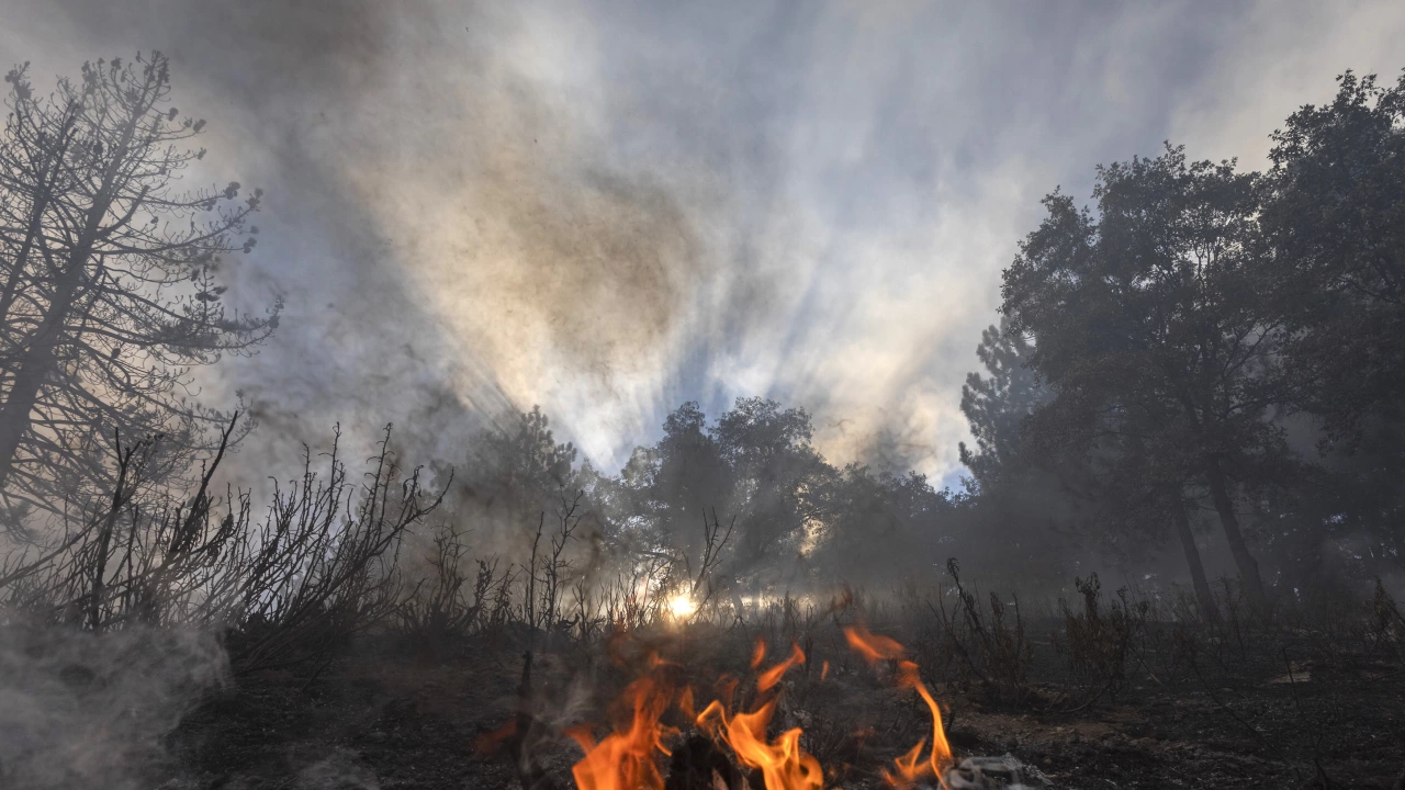 Огромен горски пожар бушува на площ от 428 кв км