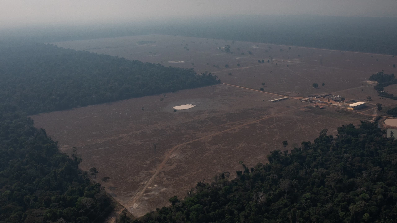 Екоразрушението в части от амазонските гори е така пълномащабно че