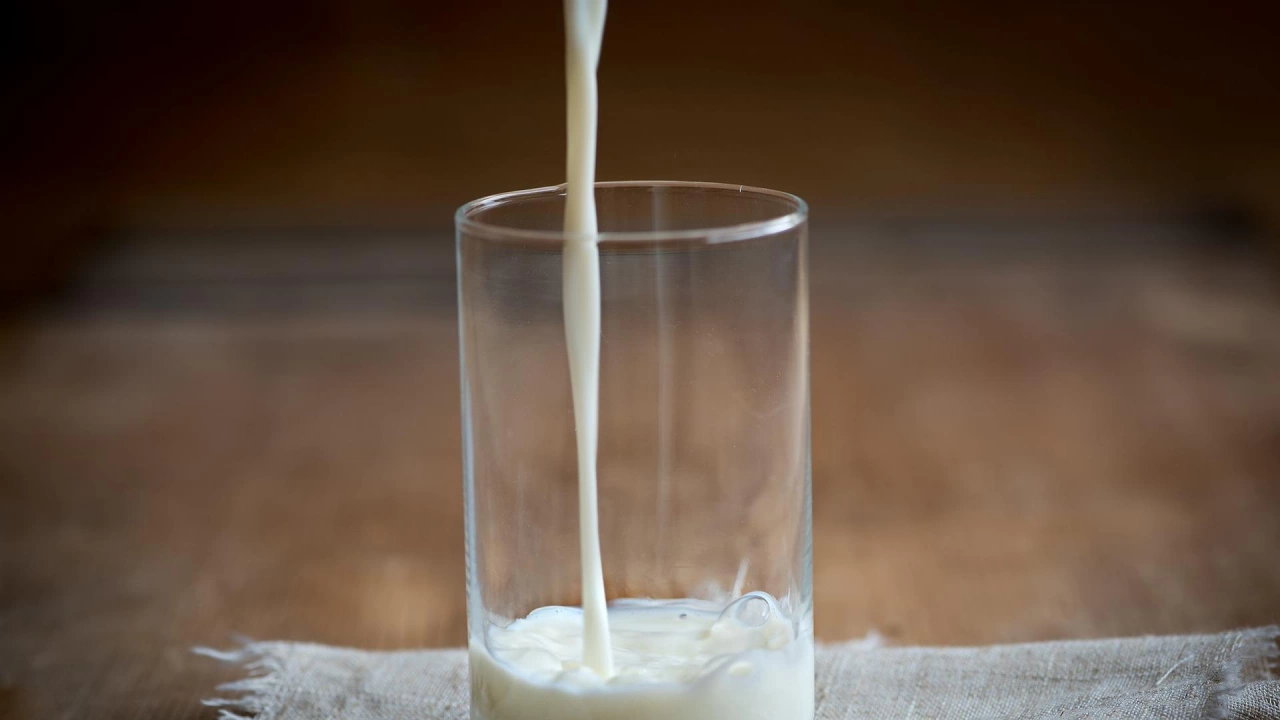 Дефицит на мляко се очаква в Черна гора на фона