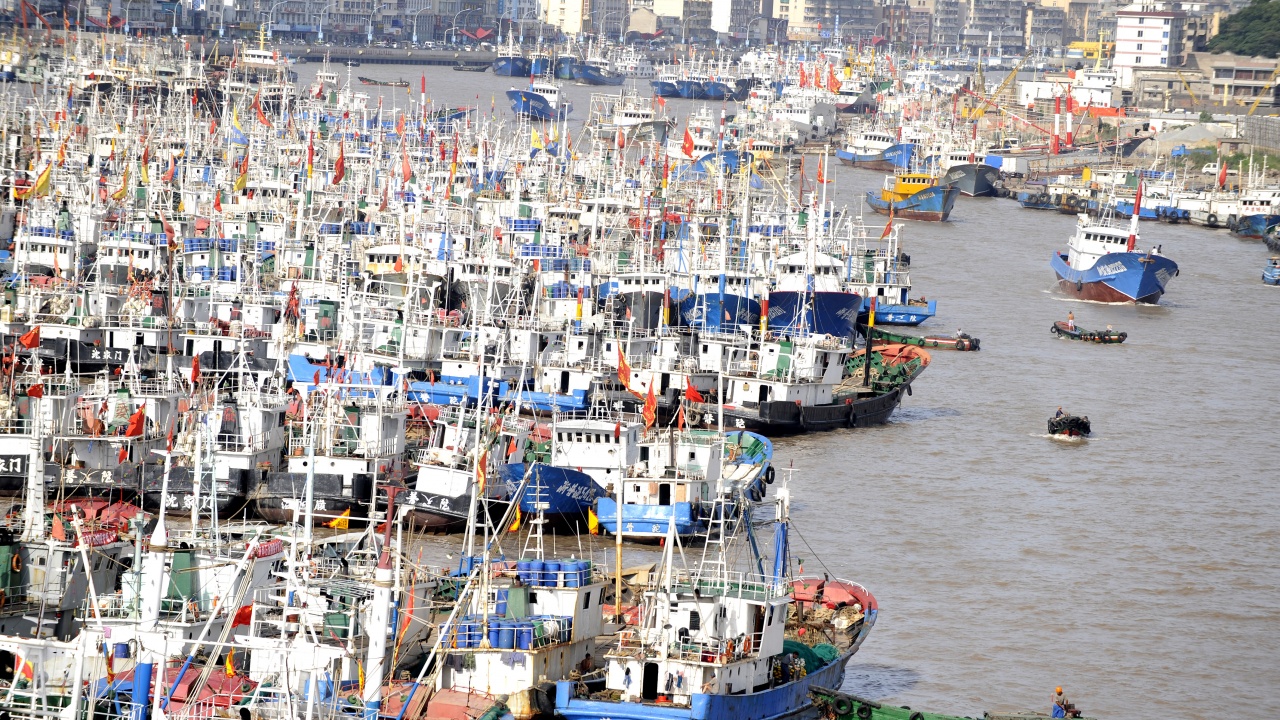 Пристанища в Източен Китай временно преустановиха работа заради тайфуна Муйфа