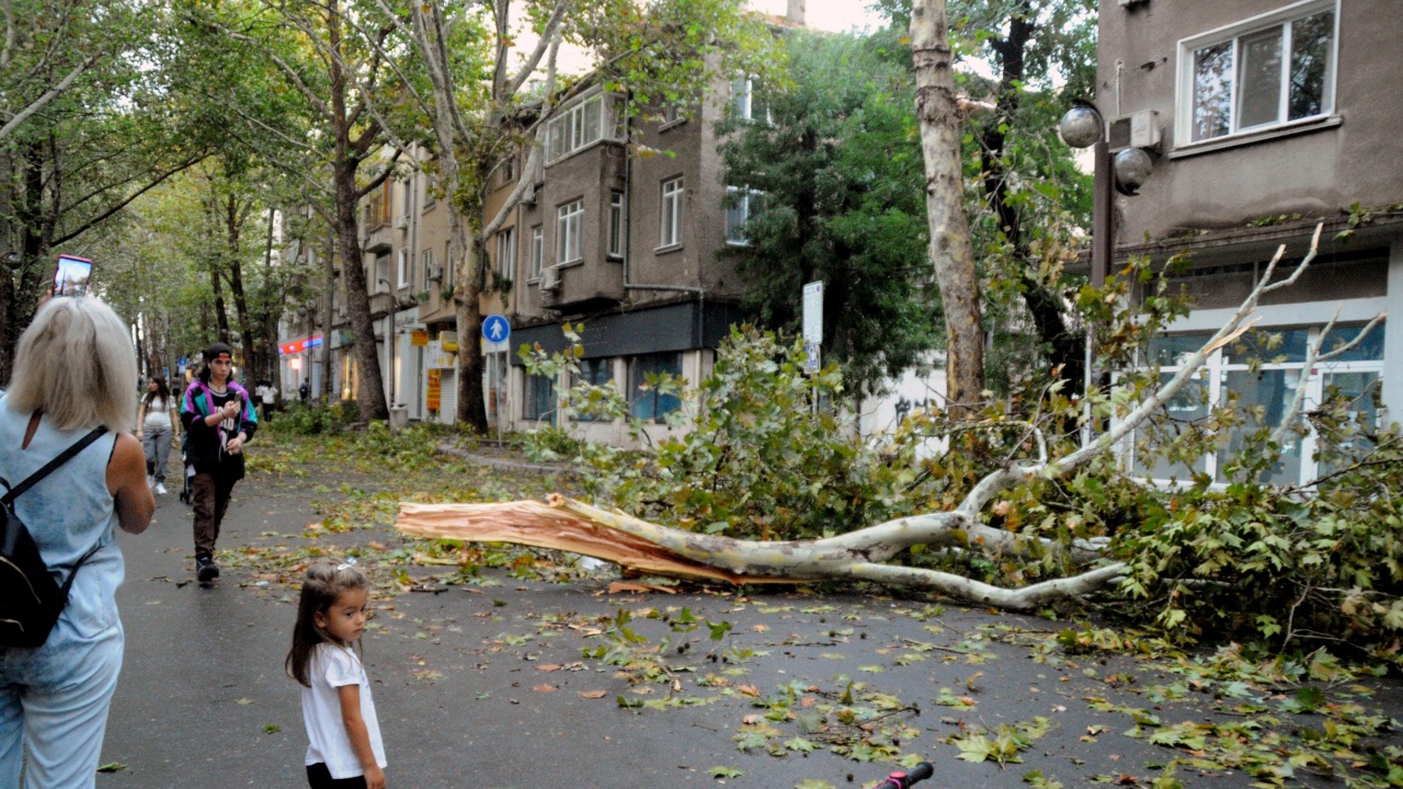 Родители участват в отстраняването на щетите по сградите на училища и детски градини в Бургас, причинени от бурята