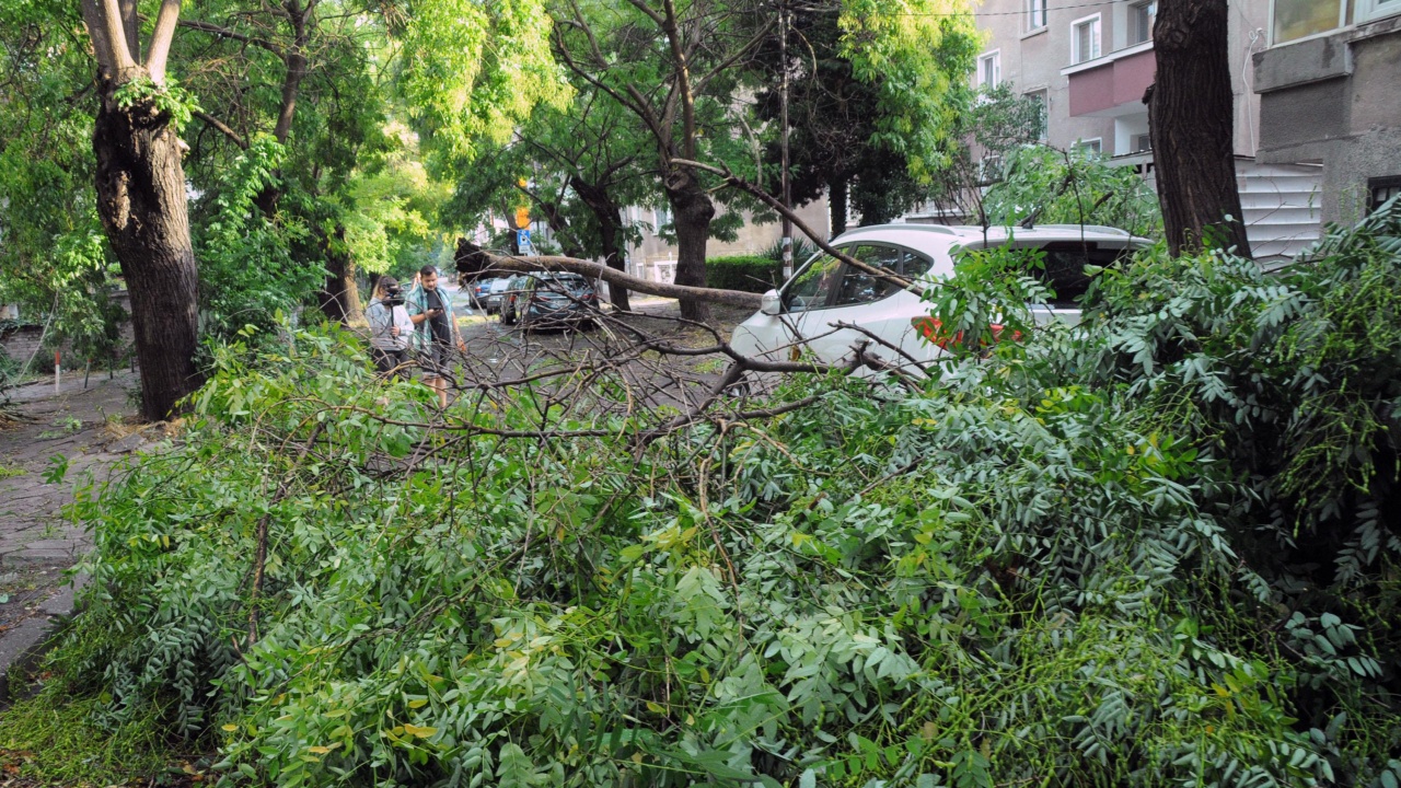 Щетите след бурята в Бургаско възлизат на хиляди
