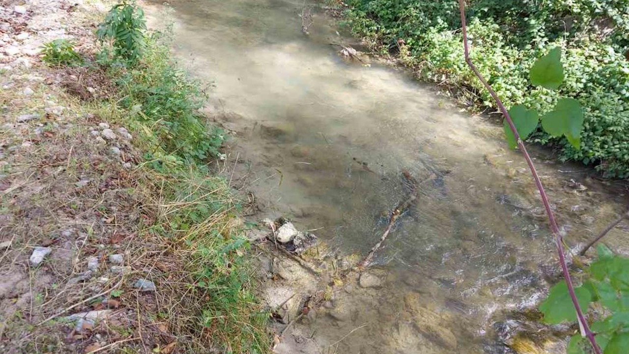 Експерти провериха за замърсяване реки край Рудозем