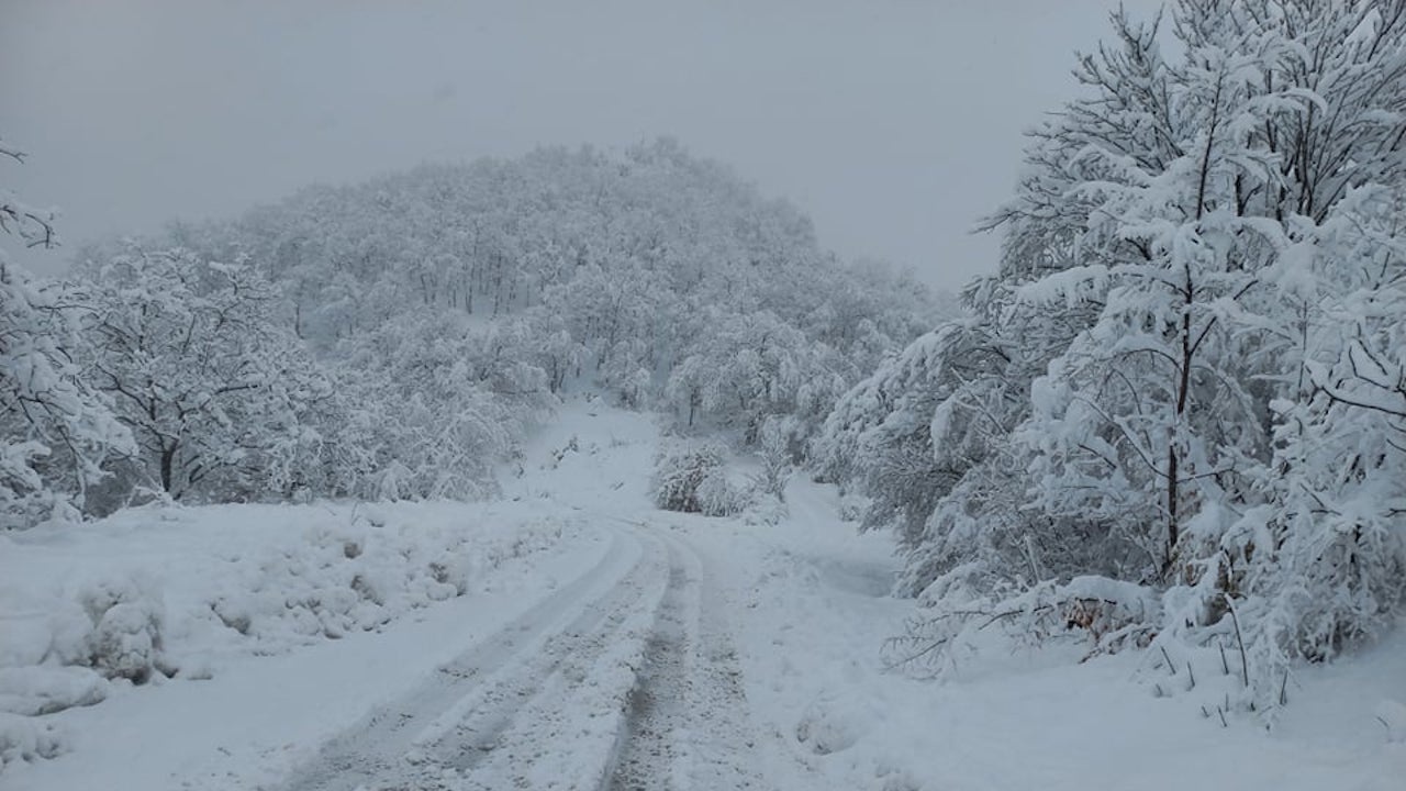 Сняг вали в района на хижа „Перелик“ в Родопите