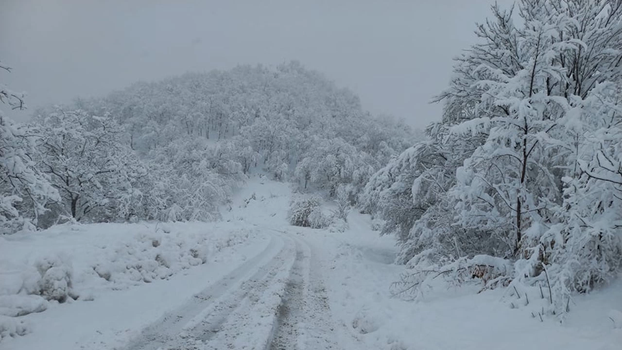 Слаб сняг заваля следобед в района на хижа Перелик в