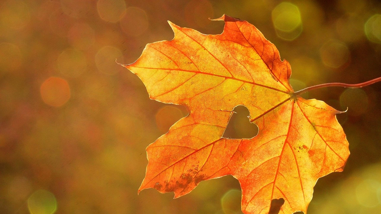 Есенното равноденствие е есенен празник свързан с определени традиции И