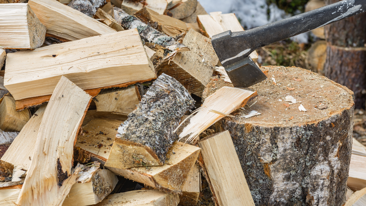 Омбудсманът: Цените на дървата са се увеличили близо със 100% от май месец