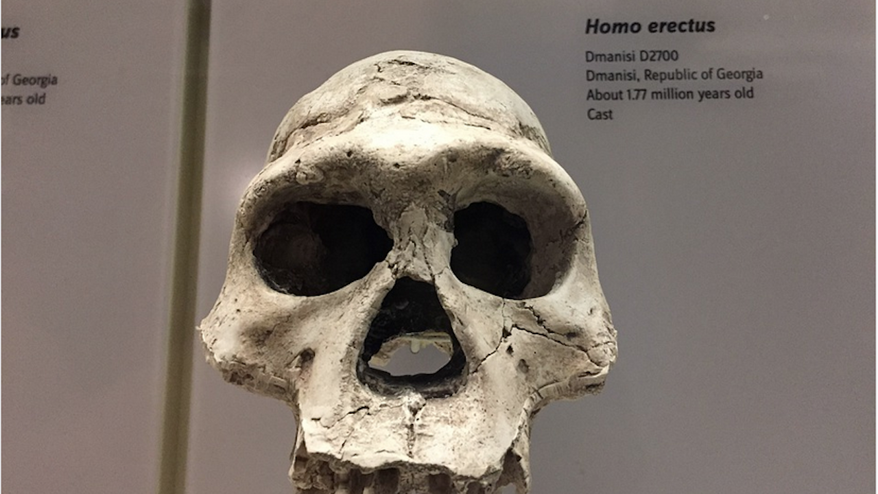 Археолози откриха череп на Хомо еректус на 1 млн. години