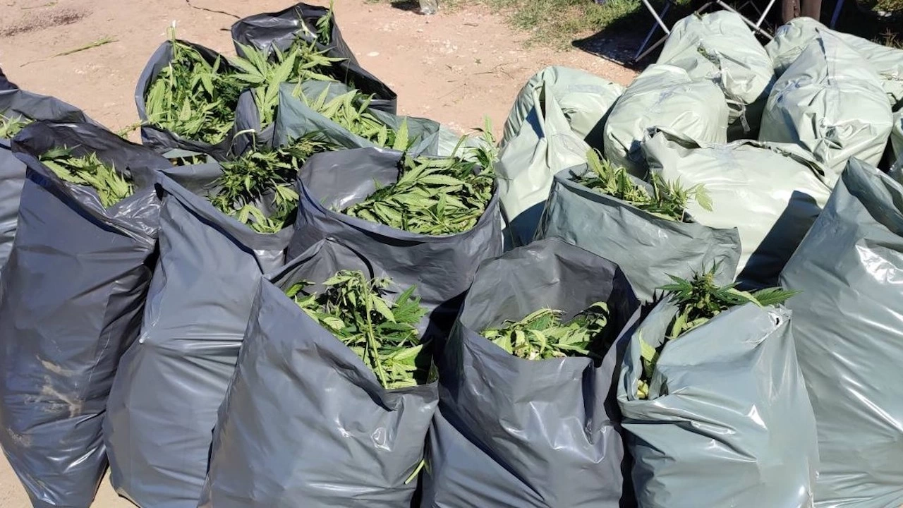 Над 330 кг марихуана са иззети при операция на криминалисти