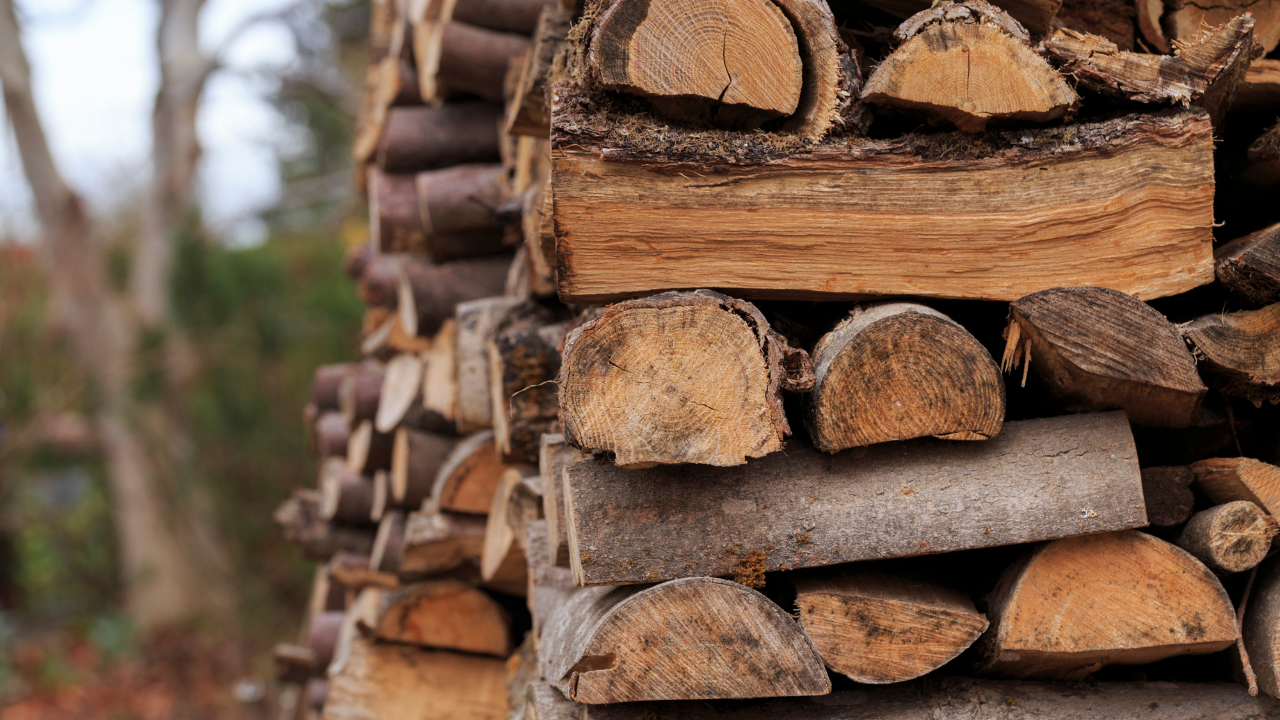 Почти три пъти повече са заявките за дърва за огрев