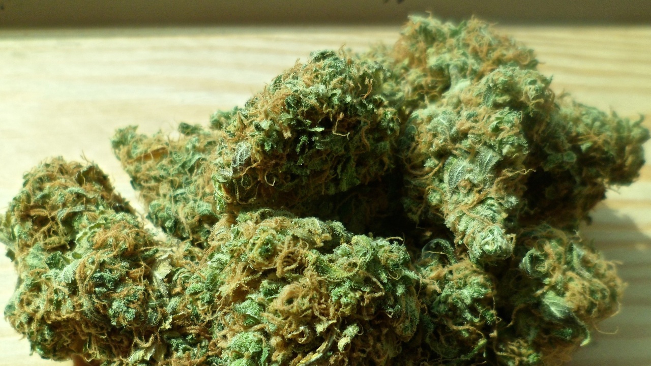 Столични полицаи иззеха 15 кг марихуана и 6 кг кокаин при акция