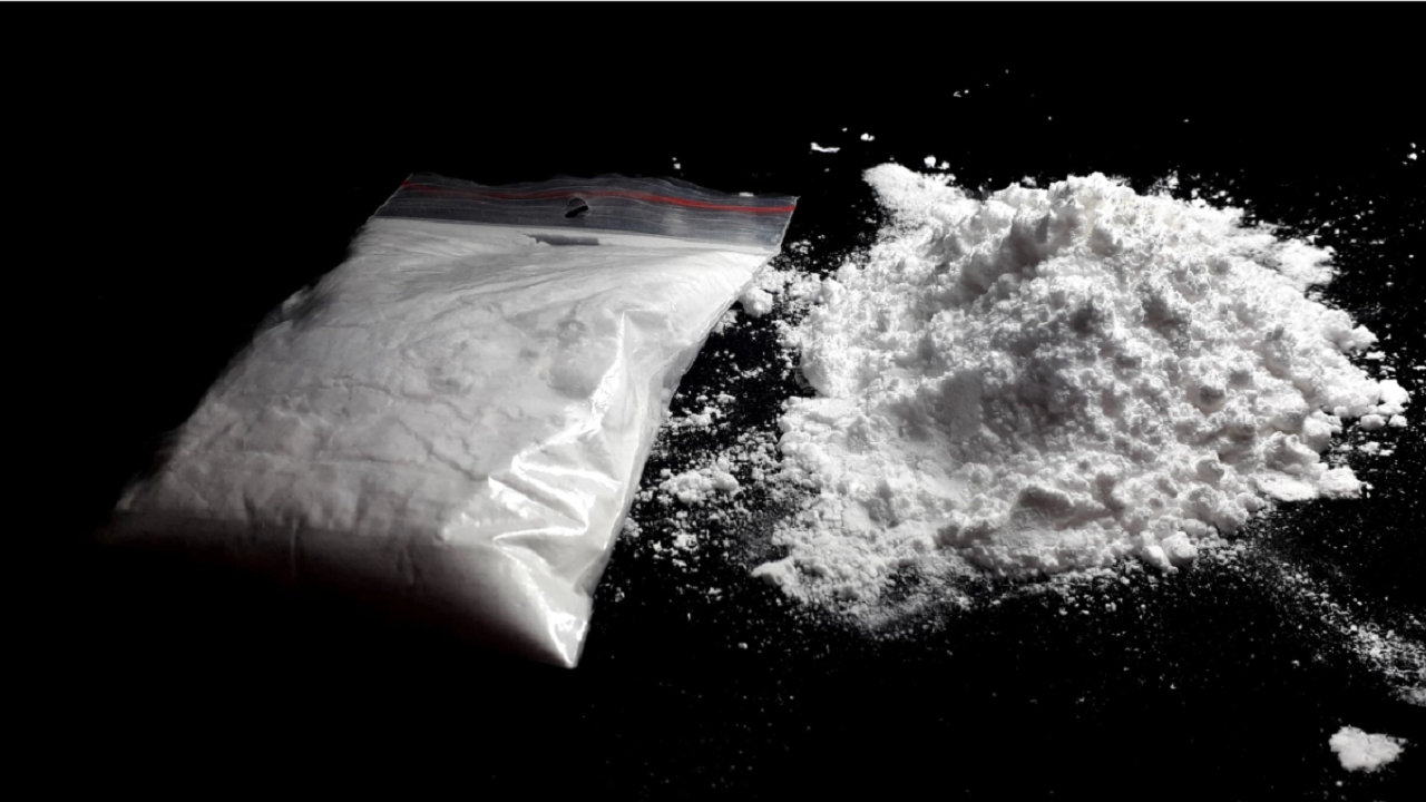 Задържаха 110 кг чист кокаин на пристанище в Италия