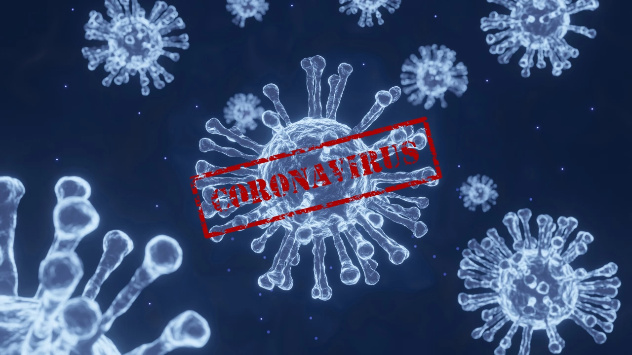 1 339 са новодиагностицираните с коронавирусна инфекция лица в България