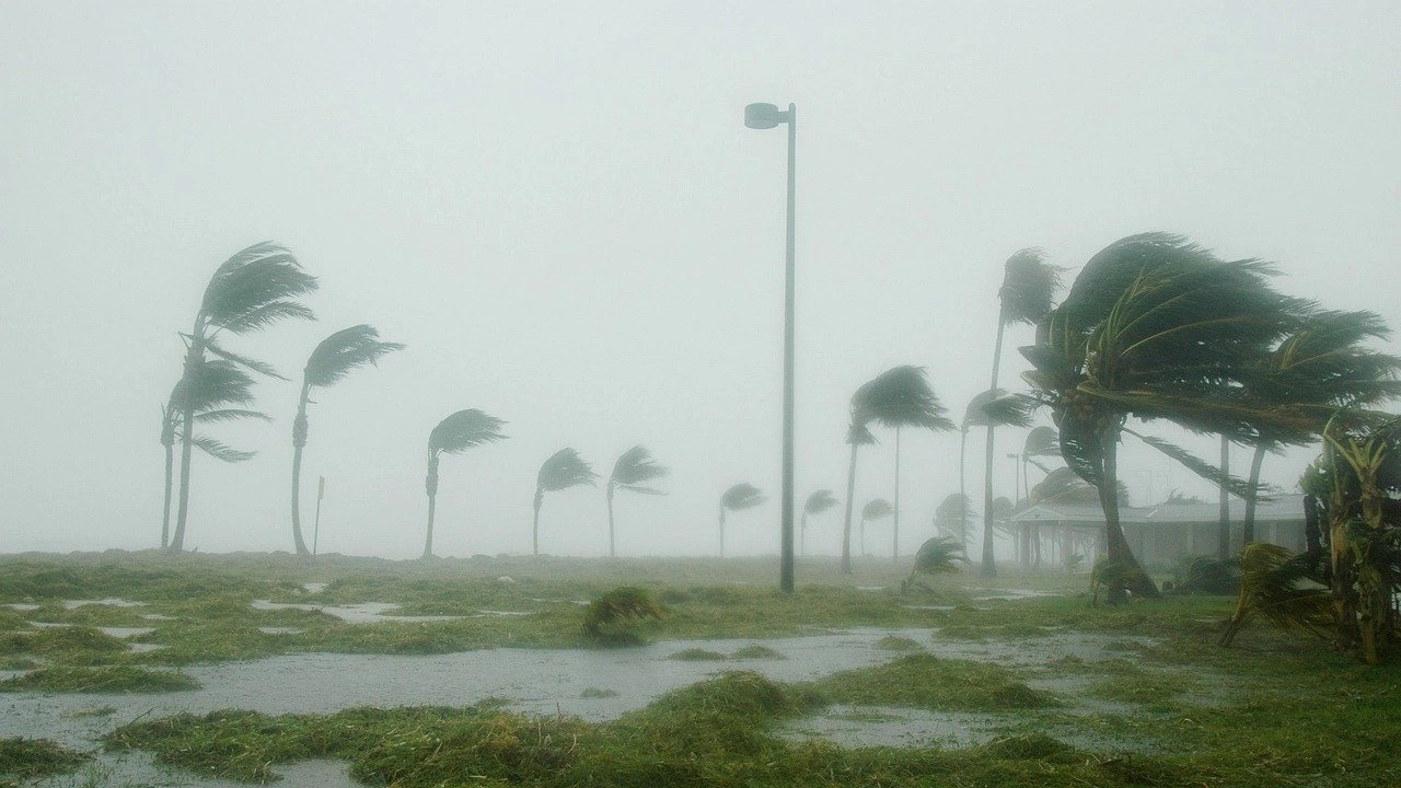 Броят на жертвите на урагана Иън в САЩ надхвърли 110