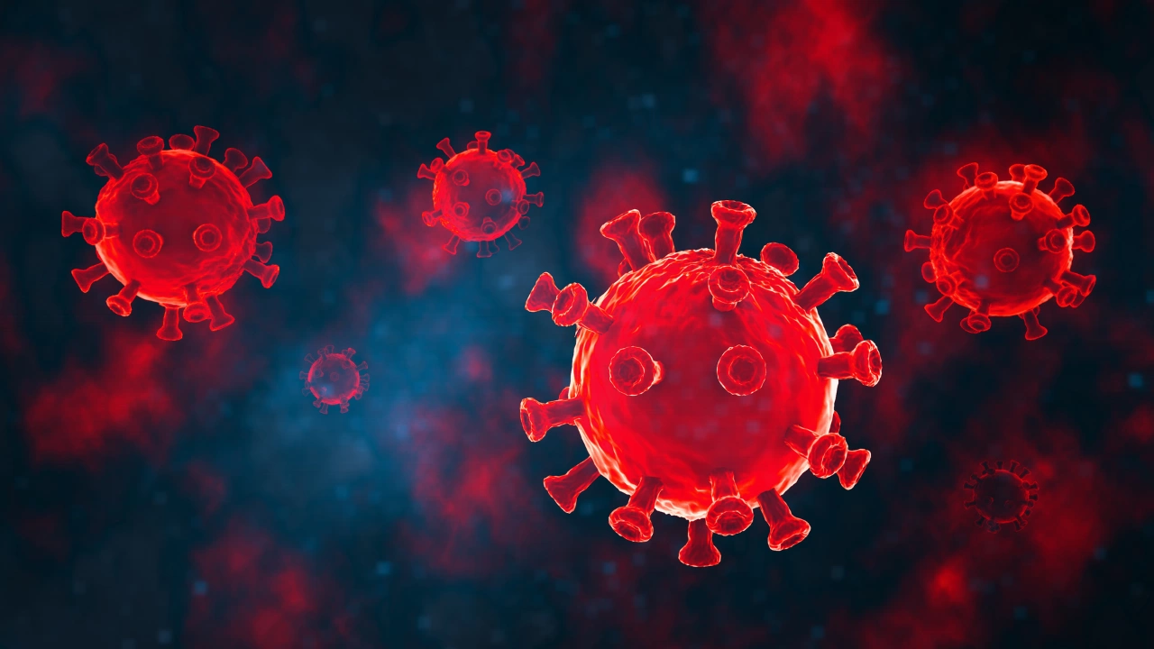 721 са новодиагностицираните с коронавирусна инфекция лица у нас през