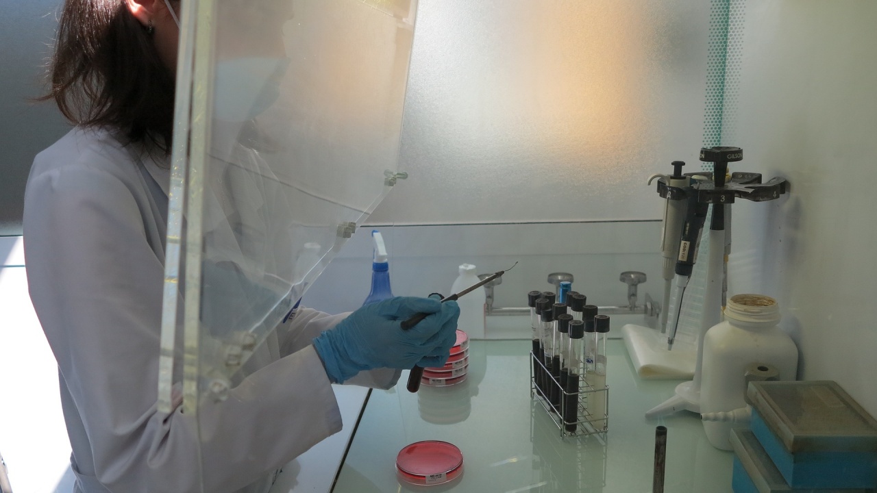 Човешки миниоргани, създадени в лабораторни условия, подпомагат изучаването на болести