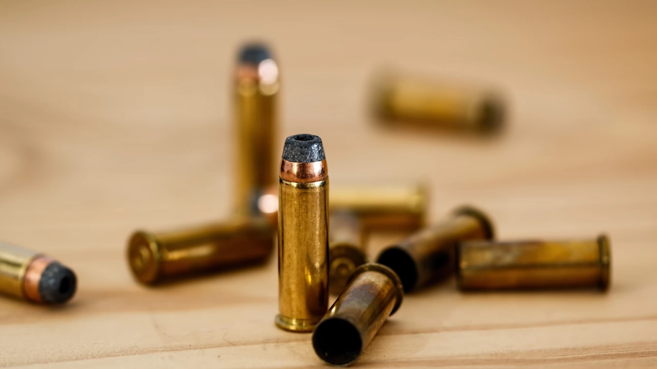  
Иззеха незаконни оръжия и боеприпаси в Смолянско съобщиха от полицията В хода на