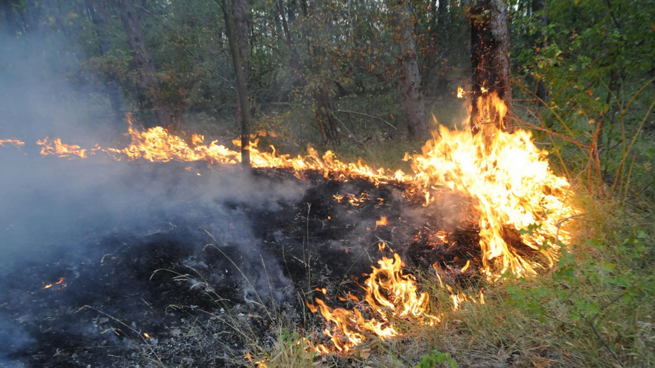 Пожар гори на територията на "Мини Марица-изток"