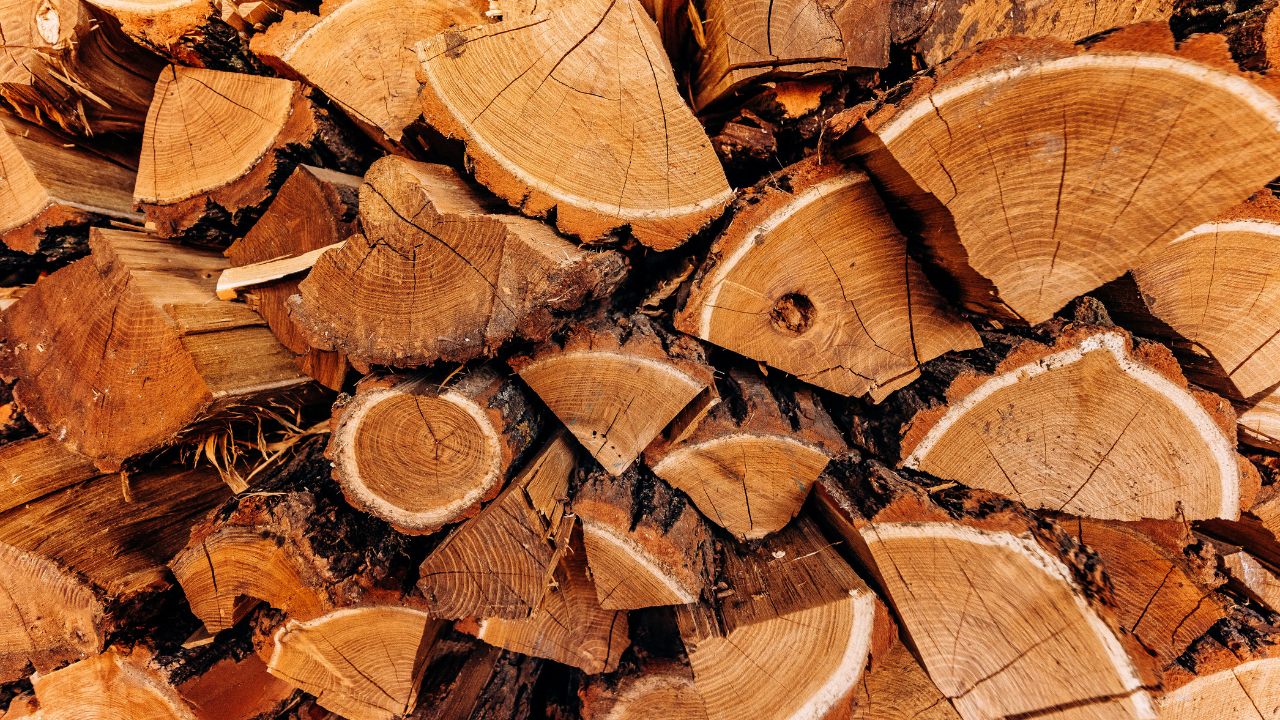 Нарастват нуждите от дърва за огрев в Руенско. Към момента