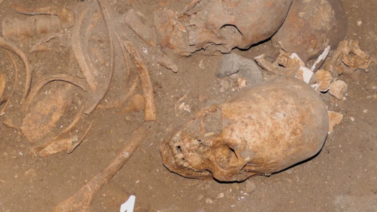 Откраднаха издължен череп от гробница при разкопките в Стара Загора