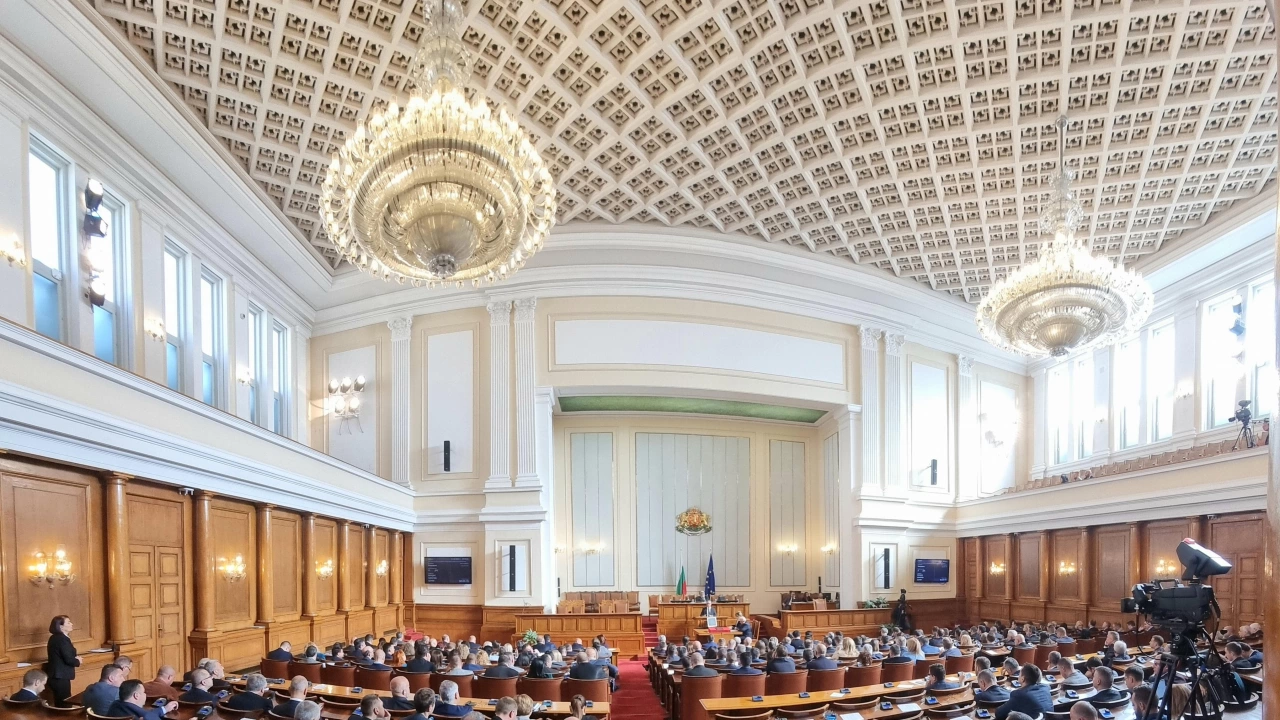 Депутатите изслушват в пленарна зала служебният финансов министър Росица ВелковаРосица